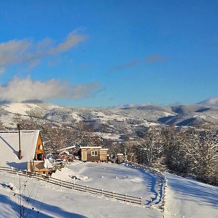 Cabana Lupul Din Apuseni Matisesti Exteriör bild