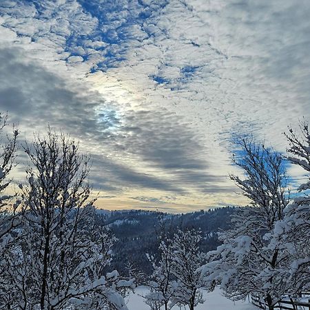 Cabana Lupul Din Apuseni Matisesti Exteriör bild
